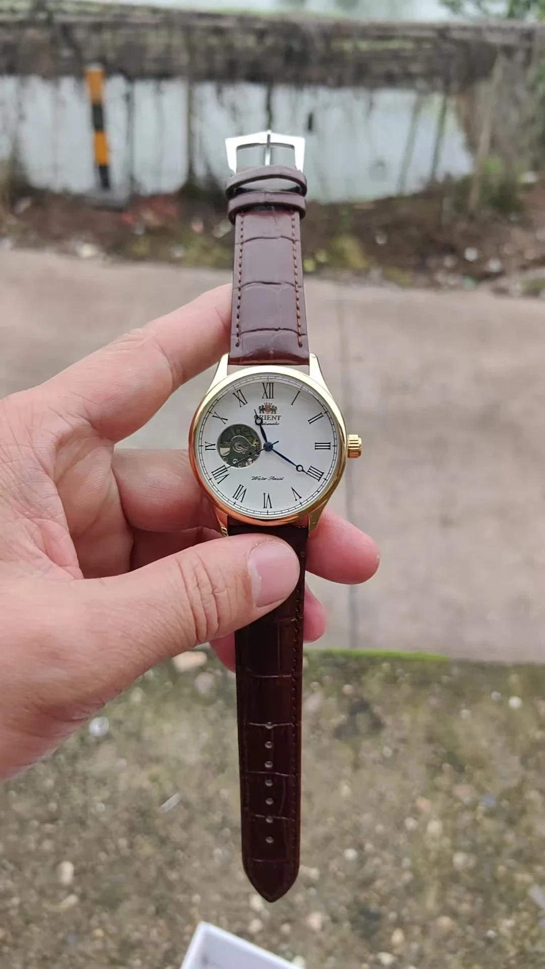 Reloj Mecánico de Esqueleto DF - Seiko Watch Presage reseña y precio