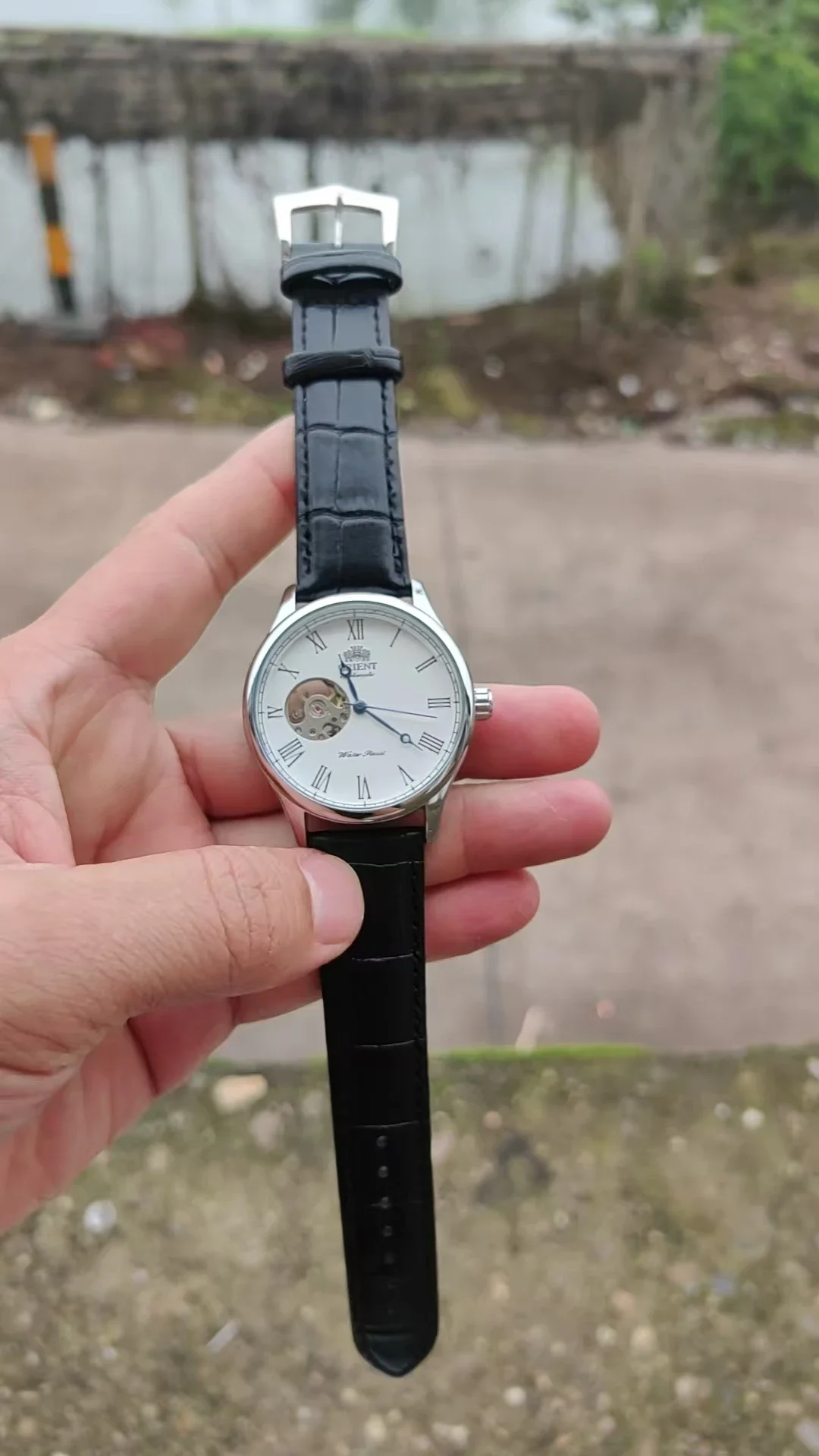 Reloj Mecánico de Esqueleto DF - Seiko Watch Presage reseña y precio